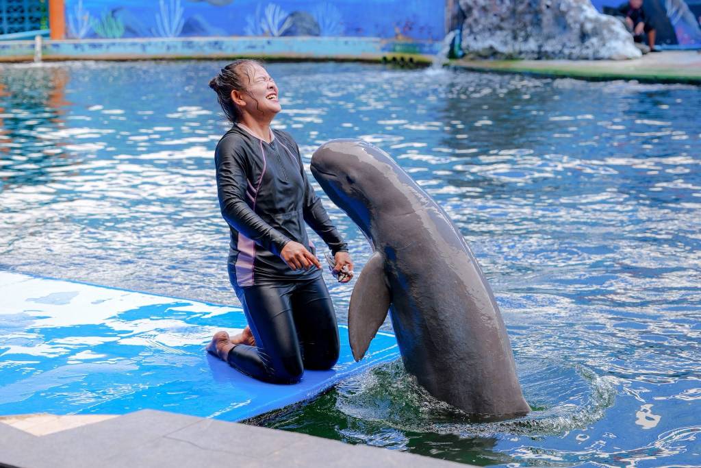 โชว์โลมา โอเอซิส ซีเวิลด์ จ.จันทบุรี (ภาพจาก : เพจ Oasis Sea World)