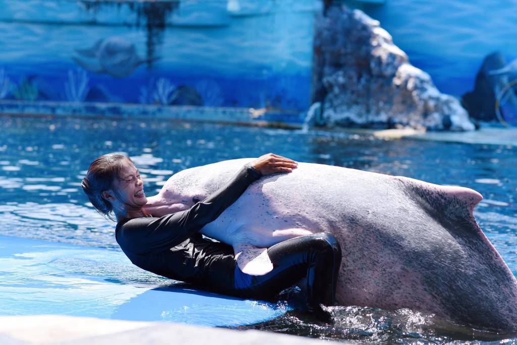 โชว์โลมา โอเอซิส ซีเวิลด์ จ.จันทบุรี (ภาพจาก : เพจ Oasis Sea World)