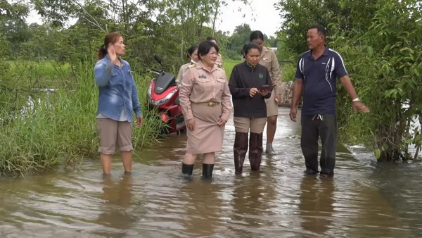 นางคำตัน บุญกาญจน์ เกษตรอำเภอวารินชำราบ พร้อมหน่วยงานที่เกี่ยวข้อง เร่งสำรวจความเสียหายจากน้ำท่วมและให้ความช่วยเหลือเบื้องต้น