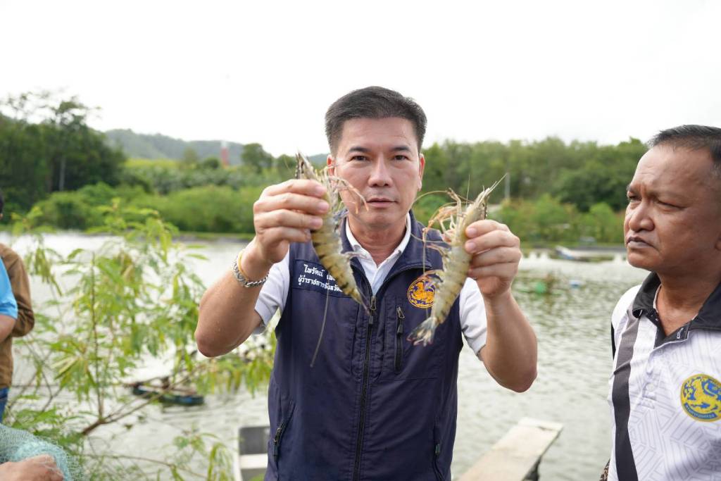 นายไพรัตน์ เพชรยวน ผู้ว่าราชการจังหวัดพังงา 