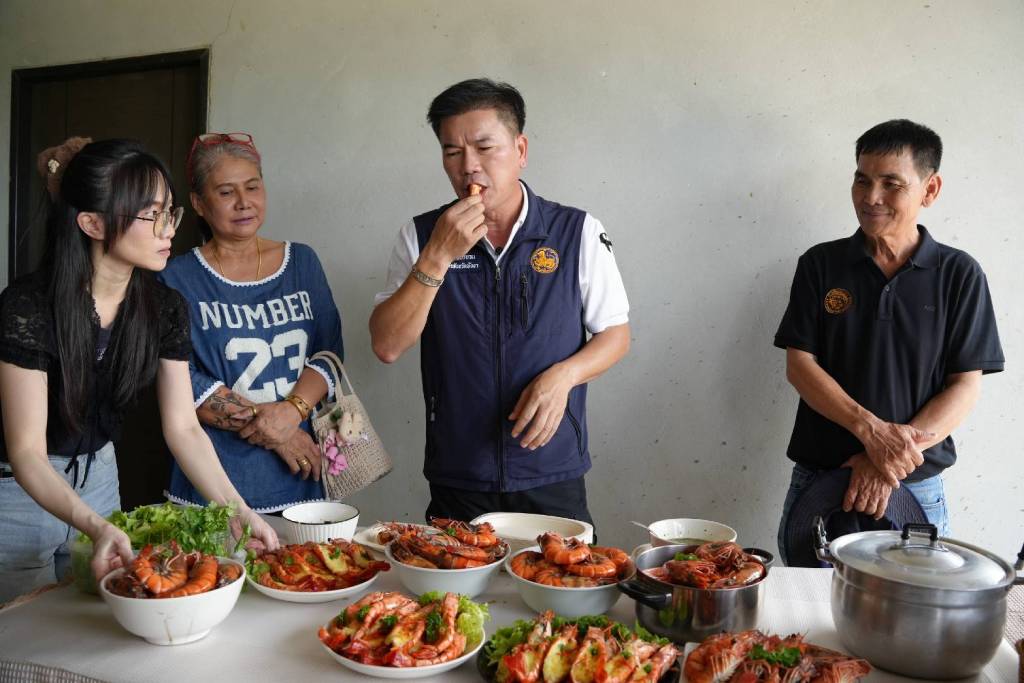 หรอยแรง กุ้งเสือพังงา เลี้ยงใกล้ชิดธรรมชาติ เนื้อแน่น เด้ง หวานกรอบ 