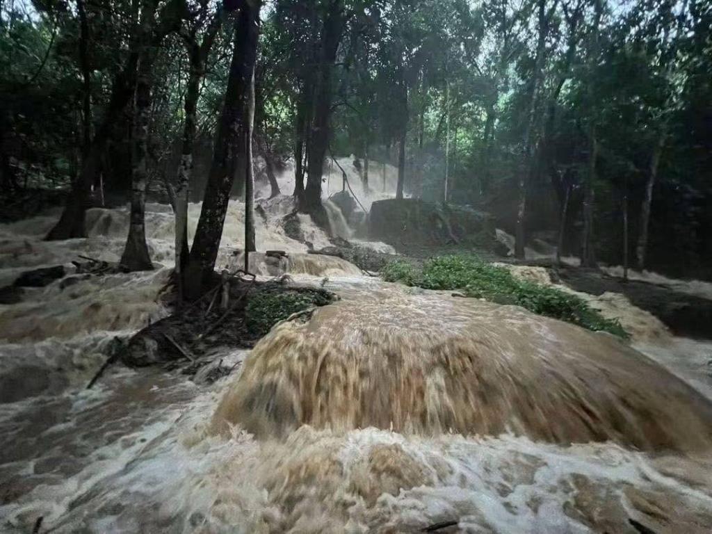 ภาพ: อุทยานแห่งชาติเขื่อนศรีนครินทร์