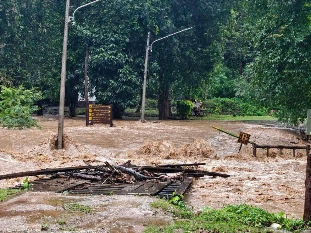 ภาพ: อุทยานแห่งชาติเขื่อนศรีนครินทร์