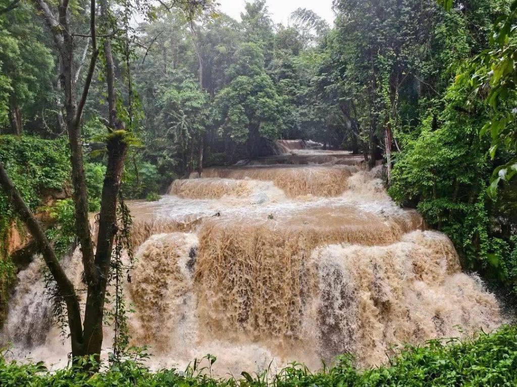 ภาพ: อุทยานแห่งชาติเขื่อนศรีนครินทร์