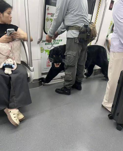 (ภาพาจาก : สื่อจีน)