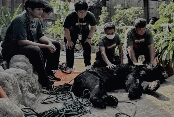ภาพจากสวนสัตว์พาต้า