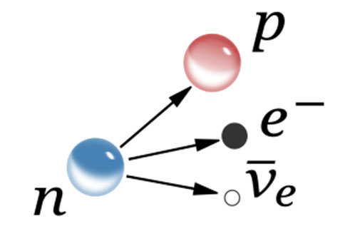 การสลายตัวของ neutron ให้ proton, electron และ electron antineutrino  ภาพจาก วิกิพีเดีย