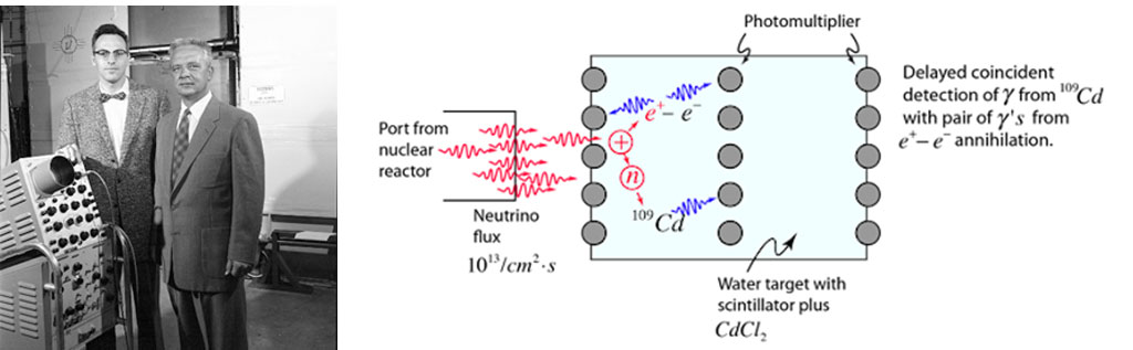 Frederick Reines (ซ้าย) กับ Clyde Cowan (ขวา) และแผนภาพการทดลองที่พบอนุภาค neutrino  ภาพจาก commons.wikimedia.org และ http://hyperphysics.phy-astr.gsu.edu/