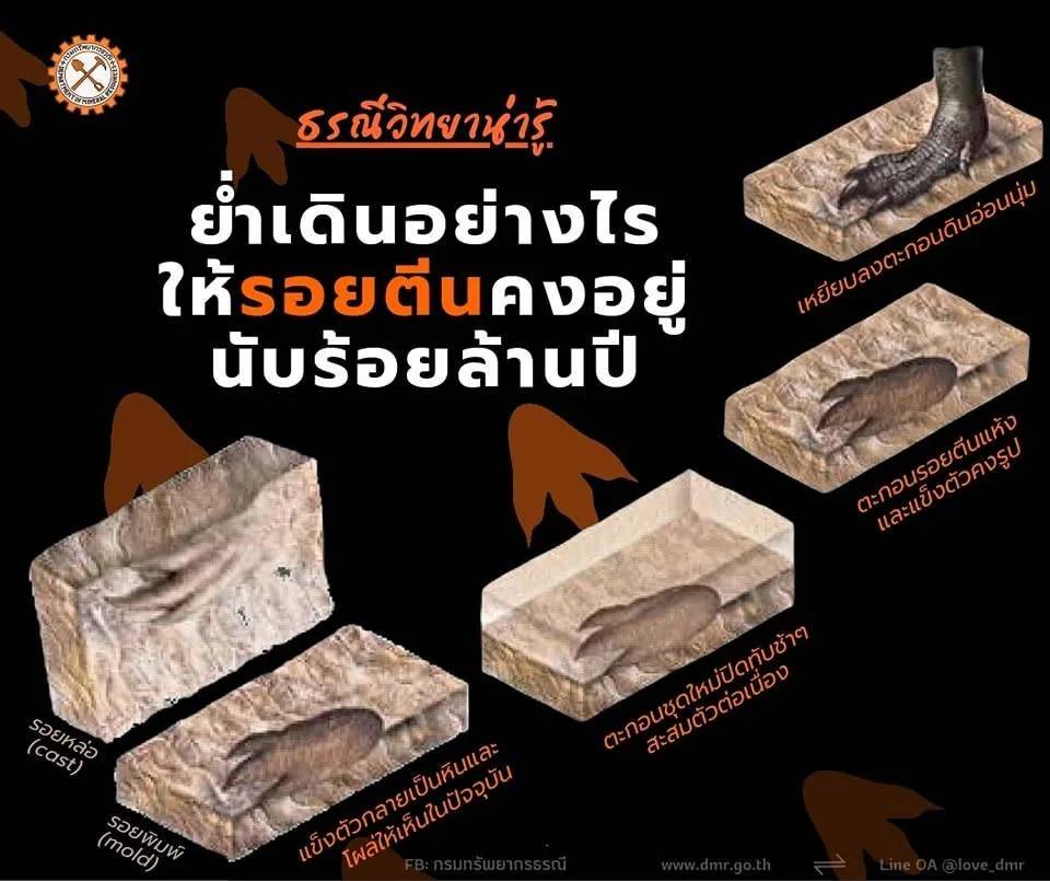 ที่มาของการเกิดซากดึกดำบรรพ์รอยตีนไดโนเสาร์ (ภาพ : กรมทรัพยากรธรณี) 