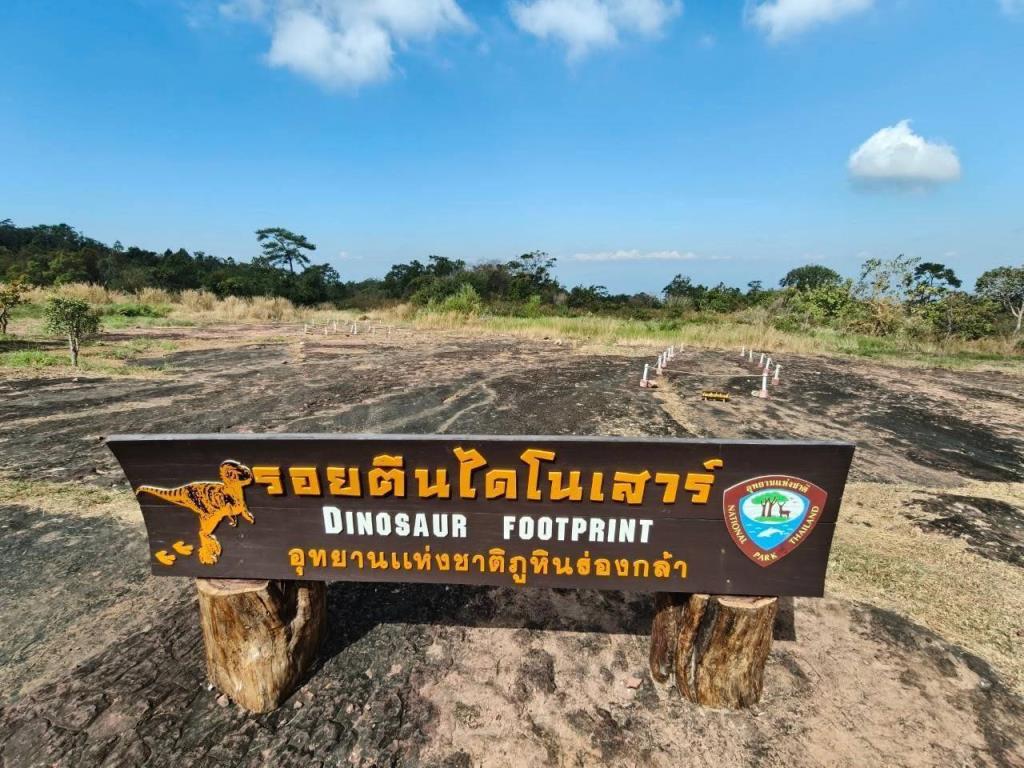จุดชมรอยตีนไดโนเสาร์ภูหินร่องกล้า จ.พิษณุโลก (ภาพ : กรมอุทยานแห่งชาติ สัตว์ป่า และพันธุ์พืช)