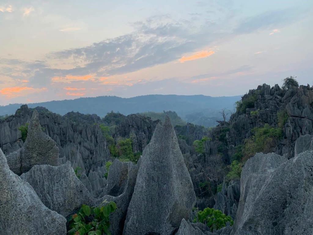 ภาพ: กรมอุทยานแห่งชาติ สัตว์ป่า และพันธุ์พืช