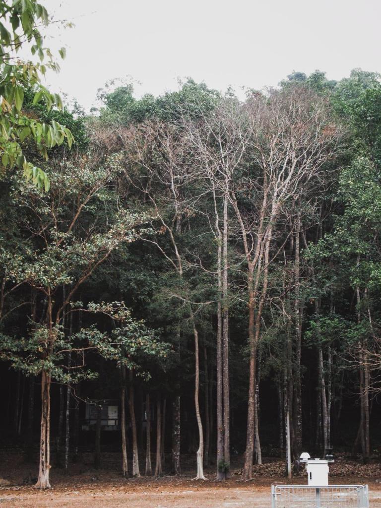 ภาพ: อุทยานแห่งชาติเขาชะเมา-เขาวง