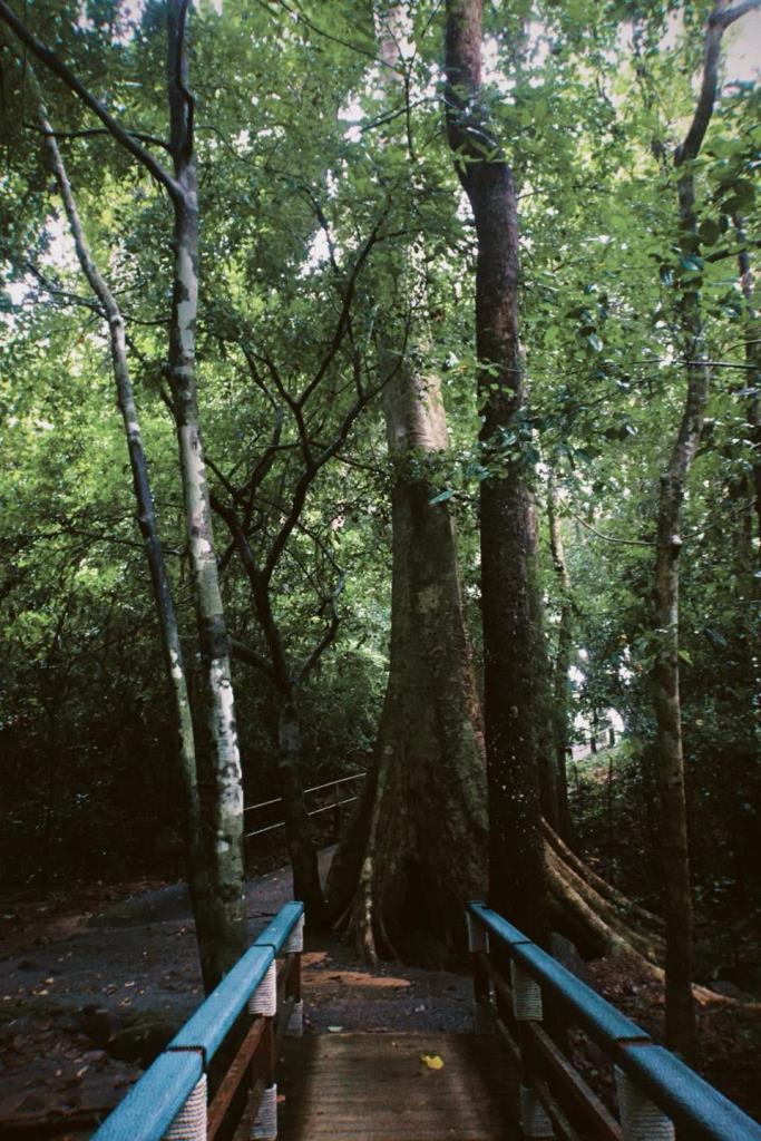 ภาพ: อุทยานแห่งชาติเขาชะเมา-เขาวง