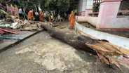 พายุฝนถล่มกรุงเก่า! กิ่งตะเคียนหิน 100 ปีหักทับศาลเจ้าแม่ตะเคียนน้อย พังยับ เจ้าอาวาสเจ็บเย็บ 7 เข็ม