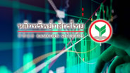 บล.กสิกรฯ คาดกรอบดัชนีหุ้นไทย 1,550-1,630 ติดตามสงคราม ตอ.กลาง-ทิศทางเงินทุนต่างชาติ