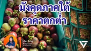 ปชน.ซัด &ldquo;ศุภจี&rdquo; คุยโวทำตลาดล่วงหน้า รองรับผลผลิต แต่วันนี้มังคุดราคาต่ำเตี้ยเรี่ยดิน
