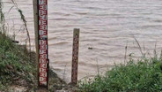 น้ำโขงผันผวนหนักหลังฝนตกหนัก80%ของพื้นที่