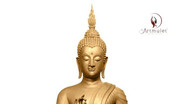 พิธีเจริญพระพุทธมนต์นพเคราะห์ สะเดาะเคราะห์ต่อดวงชะตา