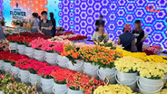 มุมใหม่ปากคลองตลาด "Bangkok Flower Festival 2026" เทศกาลดอกไม้ริมแม่น้ำเจ้าพระยา ณ ยอดพิมาน ริเวอร์วอล์ค