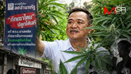 อวสานกัญชาเสรี! เจาะลึกโดมิโนเอฟเฟกต์ลงทุนสูญยับ ตราบาปนโยบาย "ภูมิใจไทย"