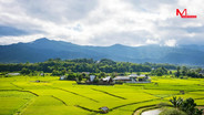 จุดชมวิว &ldquo;วัดภูเก็ต&rdquo; เสน่ห์ฤดูฝนของเมืองปัว จังหวัดน่าน