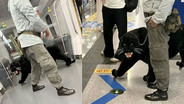 แตกตื่นทั้งสถานี! นึกว่ามีคนจูง 'เสือดำ' ขึ้นรถไฟใต้ดิน ที่แท้... (มีคลิป)