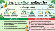 อ้างผลกระทบเชิงบวก แบบไม่ฟอกเขียว