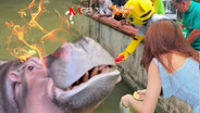ซุป'ตาร์ "น้องพลอย" แจ้งเกิดเพราะวืด ไวรัลเพราะงอน!! [มีคลิป]