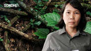 มูลนิธิสืบฯ ยื่นเพิกถอนมติ EHIA อ่างเก็บน้ำคลองวังโตนด จันทบุรี 29 ต.ค. 69 ที่ศาลปกครองกลาง แจ้งวัฒนะ