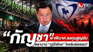  "กัญชา" พาพินาศ ลงทุนสูญยับ ตราบาป "ภูมิใจไทย" ใครรับผิดชอบ