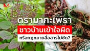  สรุปดราม่ากะเพรา ชาวบ้านเข้าใจผิด หรือกฎหมายสื่อสารไม่ชัด? : goto manager