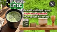  เขียวนี้ไม่ใช่มัทฉะนี่ผำฉะ! ไม่มีคาเฟอีน แต่มีโปรตีนสูงมาก ทำได้มากกว่าการเป็นเครื่องดื่ม :  SMEs Manager