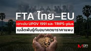  FTA ไทย–EU เจาะปม UPOV 1991 และ TRIPS-plus เมล็ดพันธุ์กับอนาคตยาราคาแพง : goto manager
