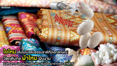 ใยไหม” เส้นใยโปรตีนธรรมชาติที่มีเอกลักษณ์ วัตถุดิบทอผ้าไหมผืนงาม ในโครงการปลูกหม่อนเลี้ยงไหม อันเนื่องมาจากพระราชดำริ