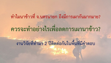 ทำไม ! นาข้าวนครนายกถึงเผา !? “ดร.วิษณุ” ยกงานวิจัยแก้ฝุ่นพิษ PM2.5