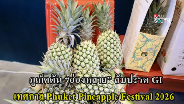 ภูเก็ตดัน “อ่องหลาย” สับปะรด GI สู่เทศกาล Phuket Pineapple Festival 2026 ชูผลไม้มงคลเชื่อมวัฒนธรรม
