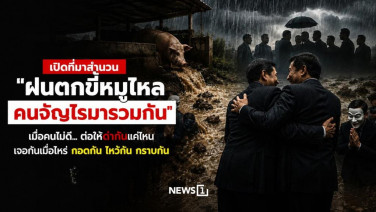 เปิดที่มาสำนวน “ฝนตกขี้หมูไหล คนจัญไรมารวมกัน”