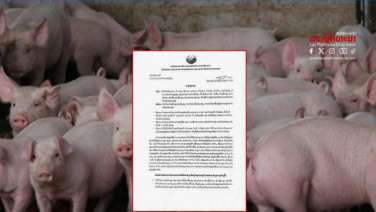 สั่งเด็ดขาด! ห้ามฆ่า-ห้ามกินหมู หลังไซยะบูลีพบ "อหิวาต์แอฟริกา" ระบาด