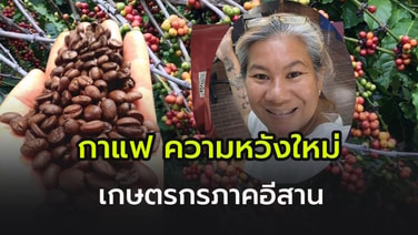 “กาแฟโรบัสต้า” ความหวังใหม่เกษตรกรภาคอีสาน  4 Dee coffee ชี้ เทรนด์ร้านกาแฟยุคนี้มาพร้อมโรงคั่ว