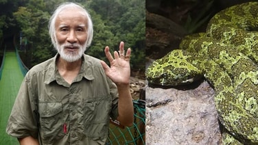 รักงูยิ่งชีพ! โดนกัด 9 ครั้ง เสียนิ้ว 1 ข้อ ชายจีนวัย 77 อุทิศชีวิตปกป้องงูพิษหายาก