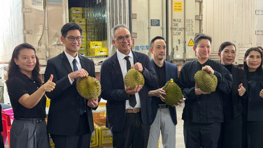 “พาณิชย์”ถกผู้บริหารตลาดค้าส่ง Higreen ขอนำเข้าผลไม้ไทยต่อเนื่อง