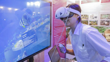 เปิดประสบการณ์ดำดิ่งใต้ทะเลไทยด้วย VR ในโครงการ 'ทะเลไทยในโลกเสมือน' คลังชีวิตใต้น้ำ