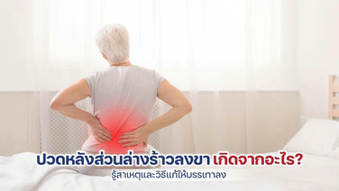 ปวดหลังส่วนล่างร้าวลงขา เกิดจากอะไร? รู้สาเหตุและวิธีแก้ให้บรรเทาลง