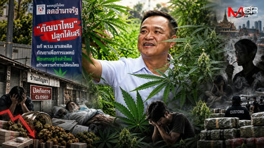 อวสานกัญชาเสรี! เจาะลึกโดมิโนเอฟเฟกต์ลงทุนสูญยับ ตราบาปนโยบาย "ภูมิใจไทย"