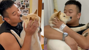 หยุดเถอะเจ้านาย! หนุ่มจีนกินเห็ดป่าแล้วหลอน เห็นสุนัขเป็นแฟนเก่า กอดจูบไม่ปล่อยนาน 7 ชม.