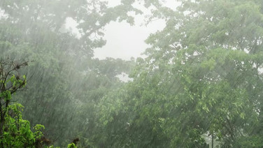 อุตุฯ ย้ำเตรียมรับมือฝนตกหนักถึงหนักมาก 25–27 ก.ย. นี้ เสี่ยงน้ำท่วมฉับพลัน–น้ำป่าไหลหลาก