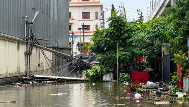 แยกวัดเสมียนนารี ต้นไม้ใหญ่โค่นทับสายไฟ ดึงเสาหักโค่น ระเนระนาดกว่า 10 ต้น
