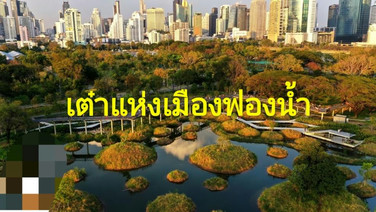 พลิกคอนกรีต สู่เต๋าแห่งเมืองฟองน้ำ