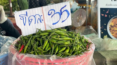 น้ำท่วมภาคกลาง กระทบผักสด-พริกขี้หนูขอนแก่นปรับขึ้นยกแผง