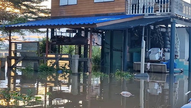 สู้ไม่ไหว! ชาวบ้านท้ายเขื่อนเจ้าพระยาถอดใจเลิกทำคันกระสอบทราย หลังน้ำขึ้นเร็ว กั้นไม่ทัน ยอมปล่อยท่วม 7 หมู่บ้าน